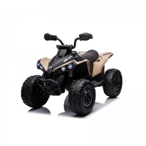 CAN-AM Renegade 24V ATV Electric Ride On - Grey