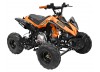 GMX The Beast 110cc Sports Quad Bike Orange