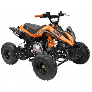 GMX The Beast 110cc Sports Quad Bike Orange