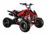 GMX The Beast 110cc Sports Quad Bike Red