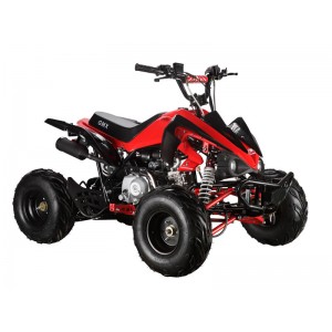 GMX The Beast 110cc Sports Quad Bike Red