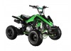 GMX The Beast 110cc Sports Quad Bike Green