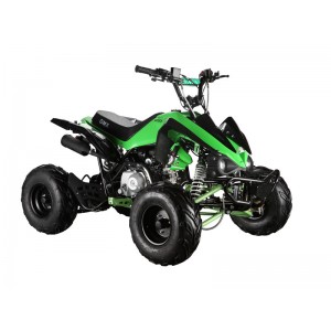 GMX The Beast 110cc Sports Quad Bike Green