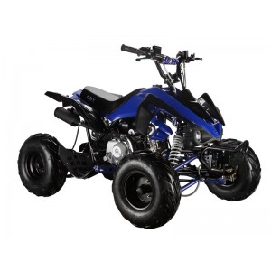 GMX The Beast 110cc Sports Quad Bike Blue