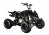 GMX The Beast 110cc Sports Quad Bike Black