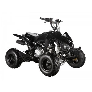 GMX The Beast 110cc Sports Quad Bike Black