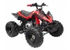 GMX The Beast 125cc Sports Quad Bike Red