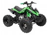 GMX The Beast 125cc Sports Quad Bike Green