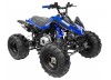 GMX The Beast 125cc Sports Quad Bike Blue