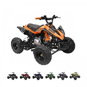 GMX The Beast 110cc Sports Quad Bike