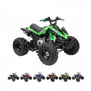 GMX The Beast 125cc Sports Quad Bike