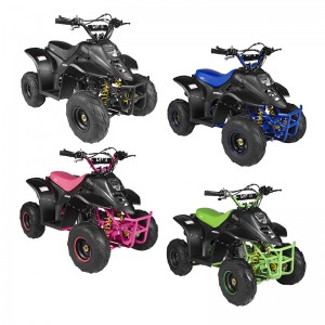 GMX 110cc Ripper-X Junior Kids Quad Bike
